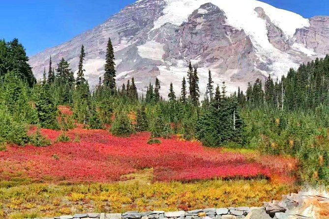mount-rainier-national-park-day-tour-from-seattle