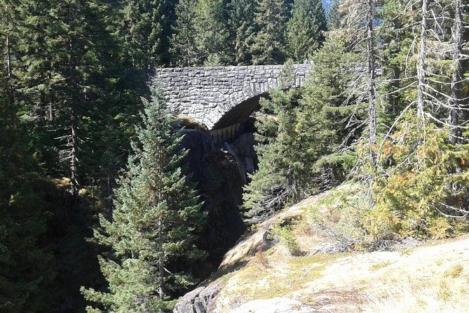 mount-rainier-tour-from-seattle