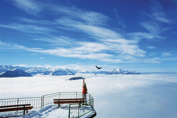 Mount Rigi Day Ticket - Activities and Optional Extras