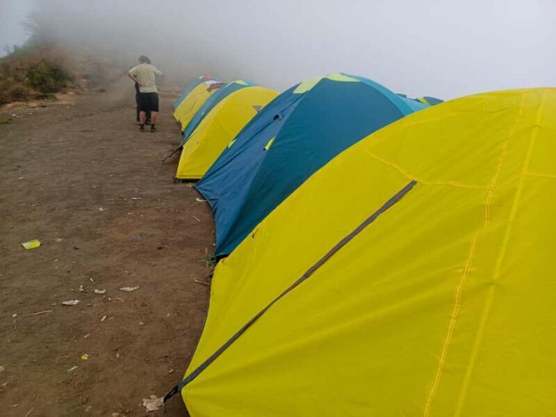 Mount Rinjani: 2D/1N Trekking Summit Trekk Day Tour - Practicalities and Tips