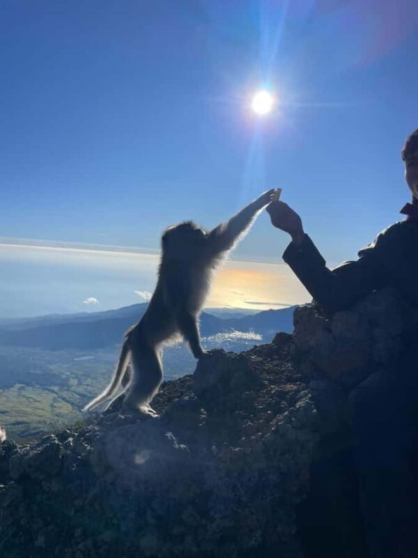 Mount Rinjani Hike Summit 1-Day Trekking Tour - Introduction