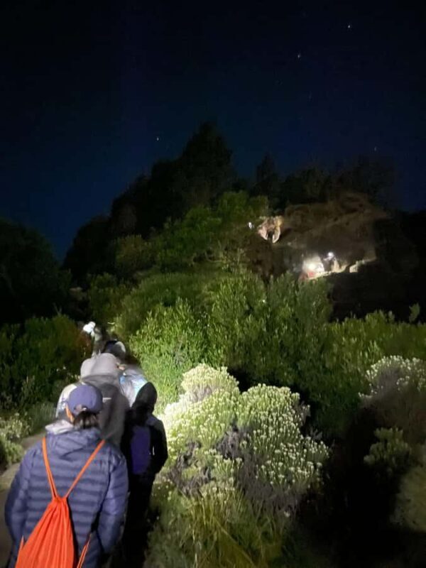 Mount Rinjani Hike Summit 1-Day Trekking Tour - The Sum Up