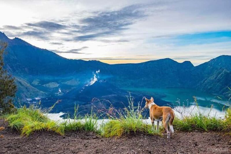 mount rinjani One day trek - FAQ