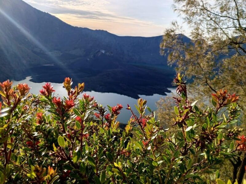 mount-rinjani-one-day-trek-to-craterim-senaru