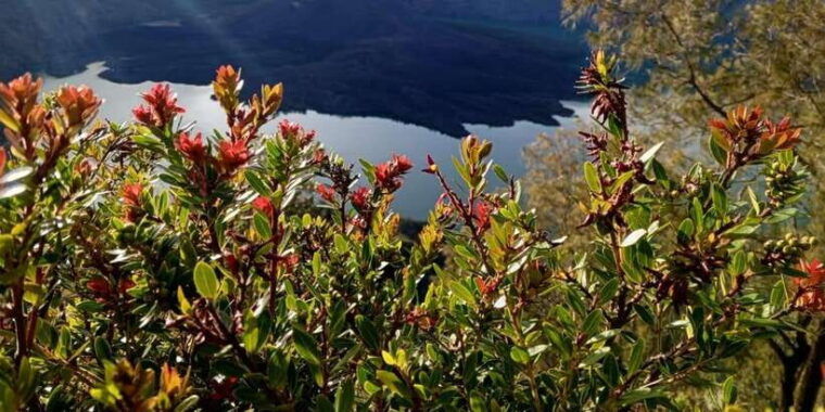 mount-rinjani-one-day-trek-to-craterim-senaru