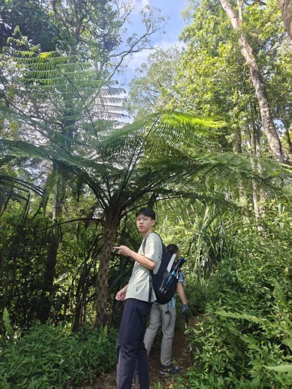 Mount Rinjani One Days trek via Senaru Crater rim - Introduction