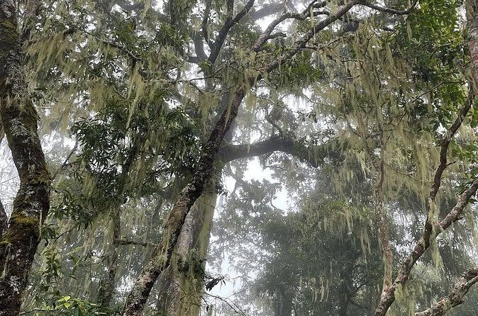 Mount Rinjani Second Summit 2 Days 1 Night - Who Will Love This Adventure?