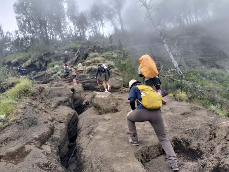 Mount Rinjani: Sembalun/Senaru Summit 2-Day Trekking Tour - The Itinerary: What to Expect on Your Mount Rinjani Trek