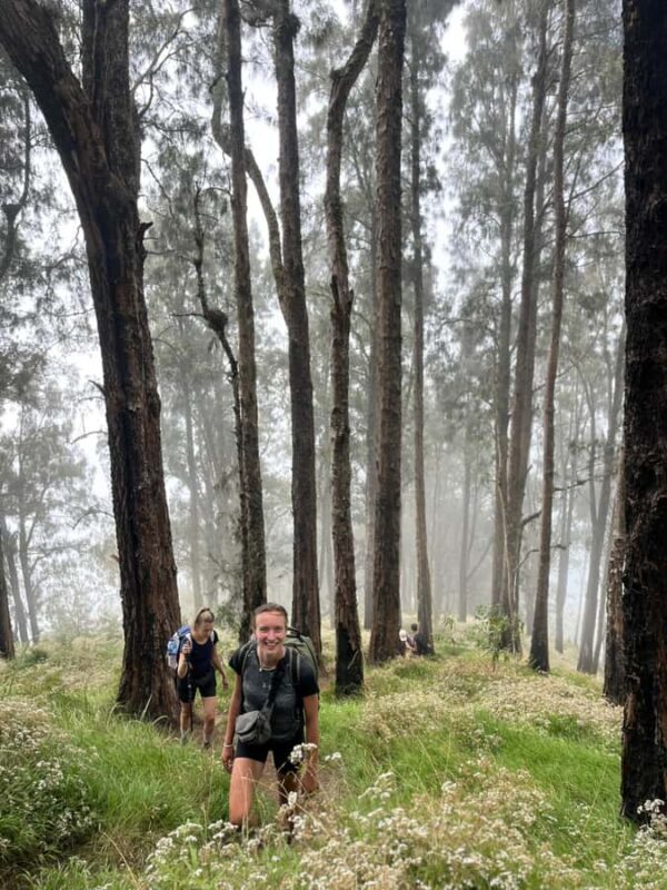 Mount Rinjani Setampol Rim Outdoor Hike and Camping Tour - Who Would Love This Experience?