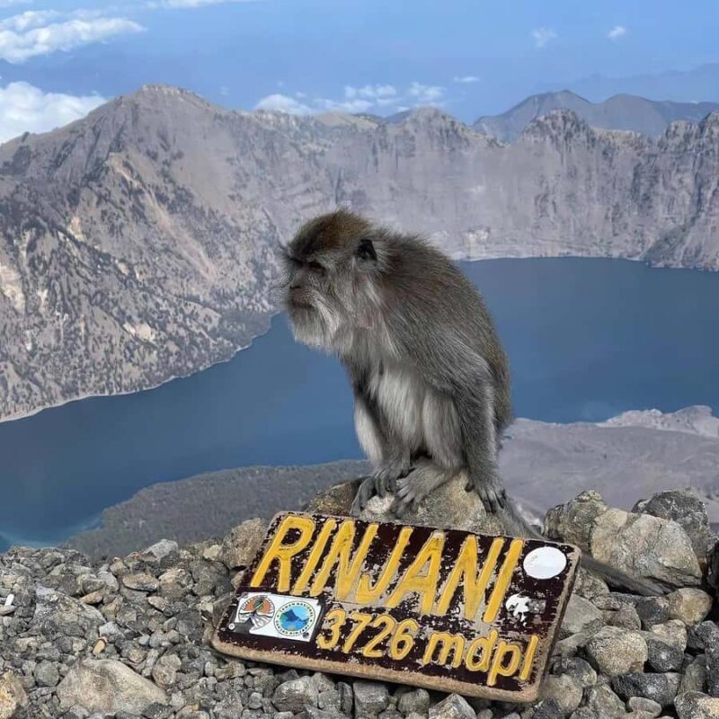 Mount rinjani summit 2 D/1 N tour - Key Points