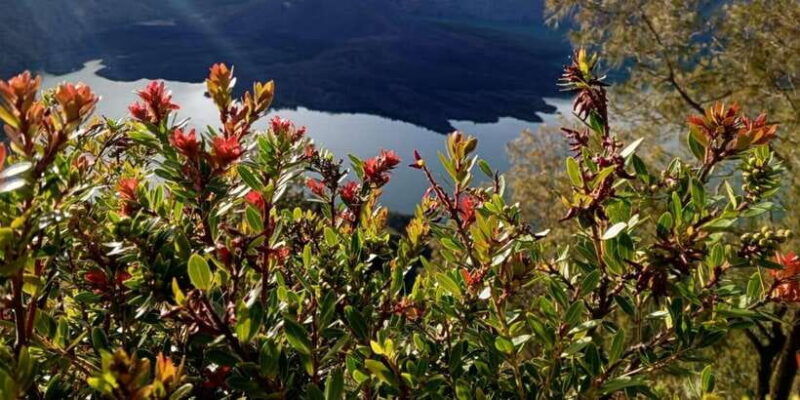 mount-rinjani-trekking-2d-1n-crater-rim-and-summit