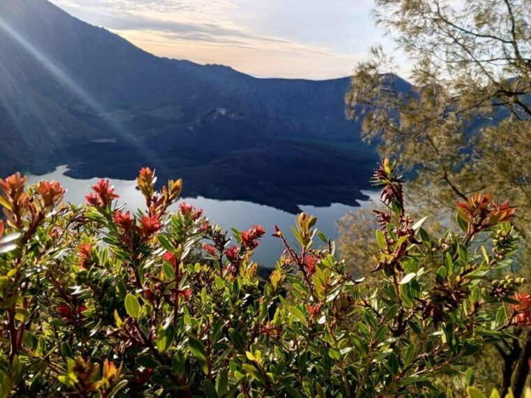 mount-rinjani-trekking-2d-1n-crater-rim-and-summit