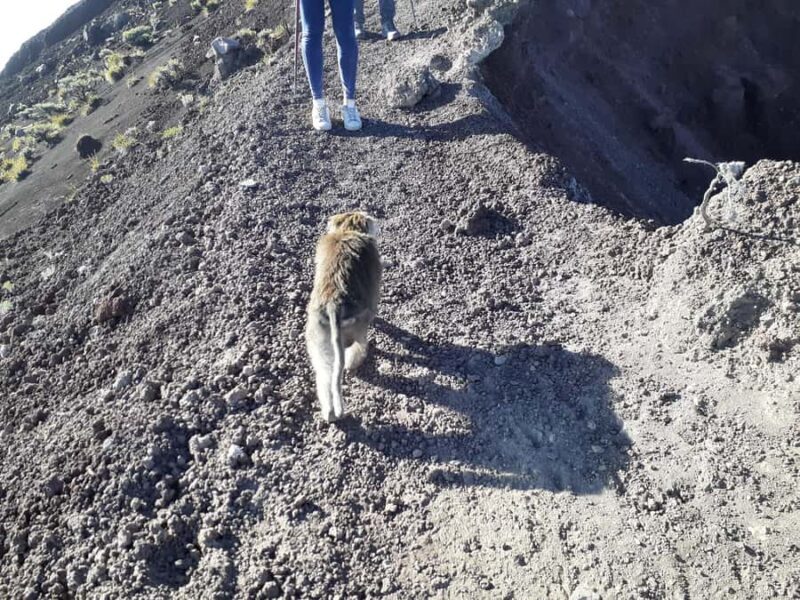 Mount Rinjani : Trekking Rinjani Senaru Crater Rim - FAQ