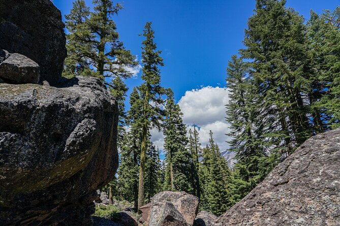 mount-shasta-guided-tour