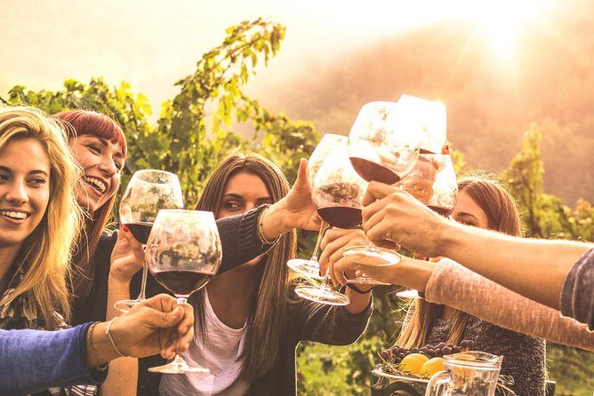 Mount Tamborine Winery Tour with Gourmet lunch - Final Thoughts
