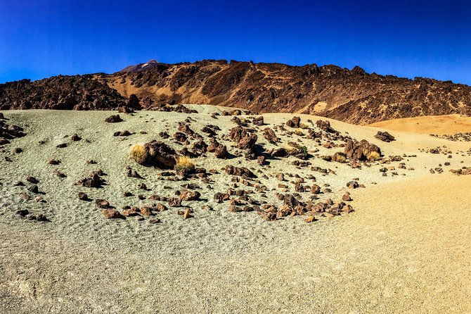 mount-teide-and-tenerife-north-with-5-course-tasting-menu-private-tour