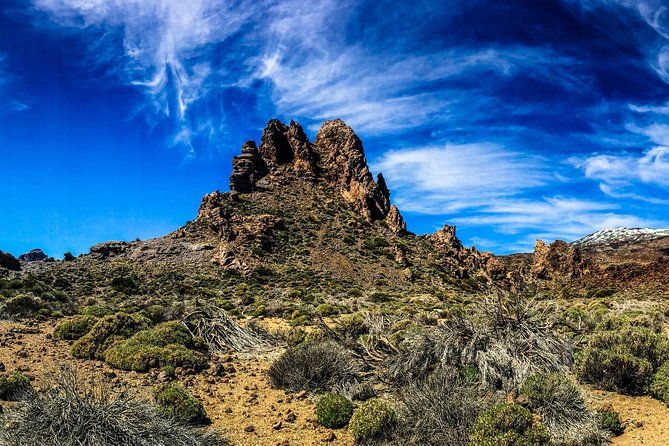 mount-teide-and-tenerife-north-with-5-course-tasting-menu-private-tour