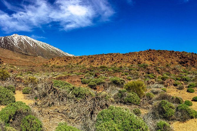 mount-teide-and-tenerife-north-with-5-course-tasting-menu-private-tour