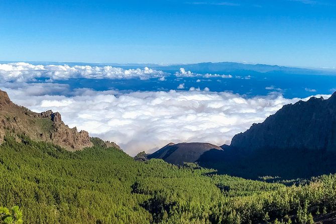 mount-teide-and-tenerife-north-with-5-course-tasting-menu-private-tour
