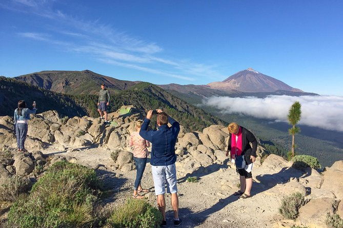 mount-teide-and-tenerife-north-with-food-wine-tasting-private-tour