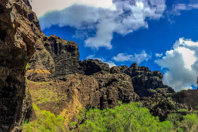mount-teide-and-teno-country-park-private-tour