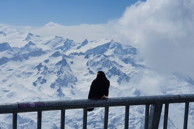 mount-titlis-train-ticket-and-self-guided-tour-from-luzern