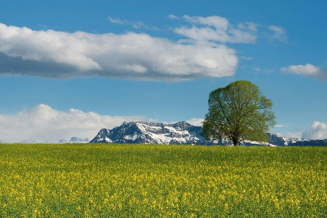 mount-titlis-with-swiss-travel-pass