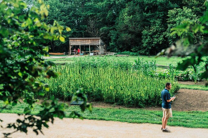 mount-vernon-and-old-town-alexandria-day-trip-from-washington-dc