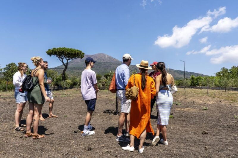 mount-vesuvius-5-wine-tastings-with-tour-lunch-included