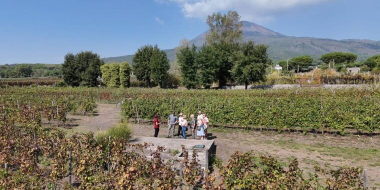 mount-vesuvius-5-wine-tastings-with-tour-lunch-included