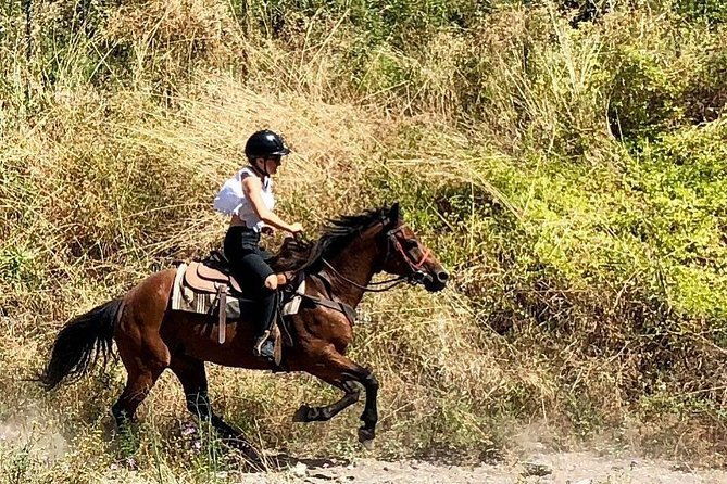 mount-vesuvius-guided-horse-riding-tour-with-sample-wine