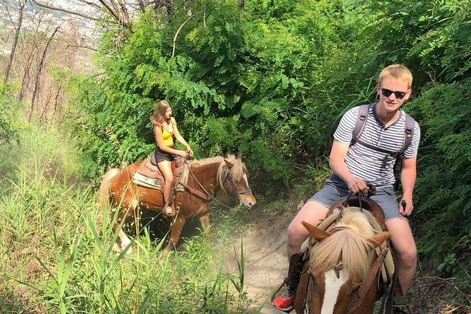 mount-vesuvius-guided-horse-riding-tour-with-sample-wine
