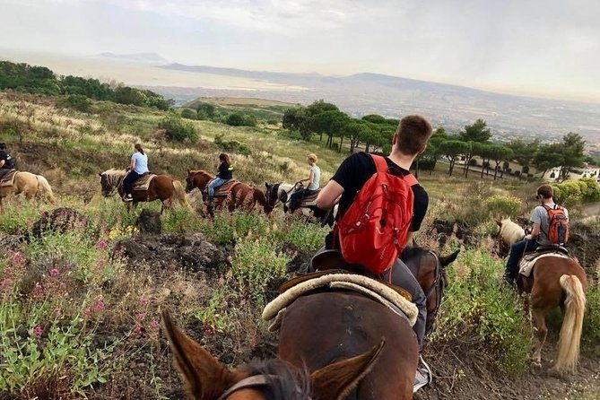 mount-vesuvius-guided-horse-riding-tour-with-sample-wine