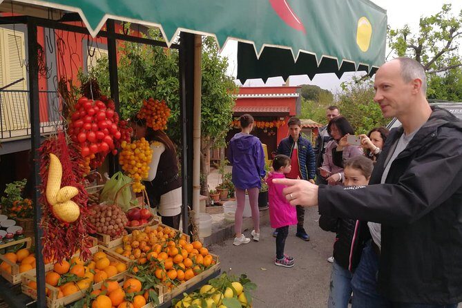Mount Vesuvius Shore Tour, Pompeii & Winery Vesuvius Winery - Who Will Love This Tour?