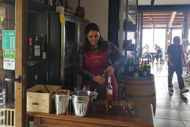 Mount Vesuvius Shore Tour, Pompeii & Winery Vesuvius Winery - Final Thoughts