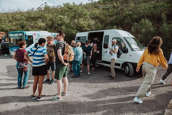 mount-vesuvius-tour-from-pompeii-led-by-an-expert-guide