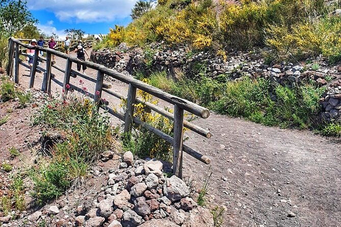 mount-vesuvius-tour-with-entry-ticket-lunch-from-sorrento
