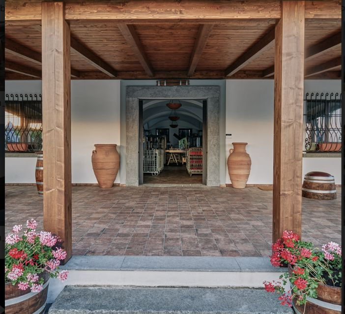 mount-vesuvius-vineyard-tour-with-wine-tasting-and-lunch