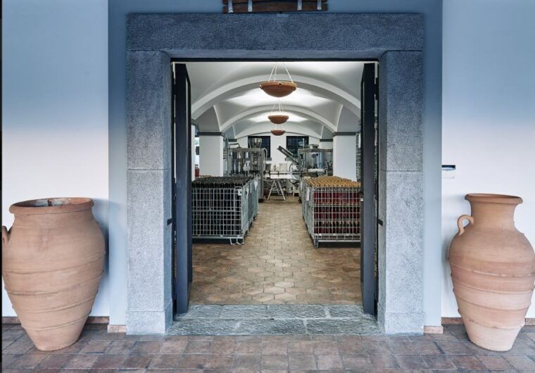 mount-vesuvius-vineyard-tour-with-wine-tasting-and-lunch