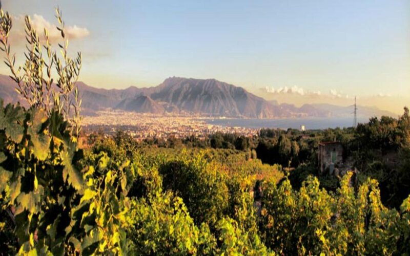 mount-vesuvius-wine-tasting-and-lunch-from-pompeii
