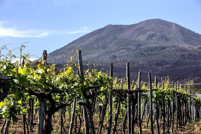 mount-vesuvius-wine-tasting-with-lunch-private-tour