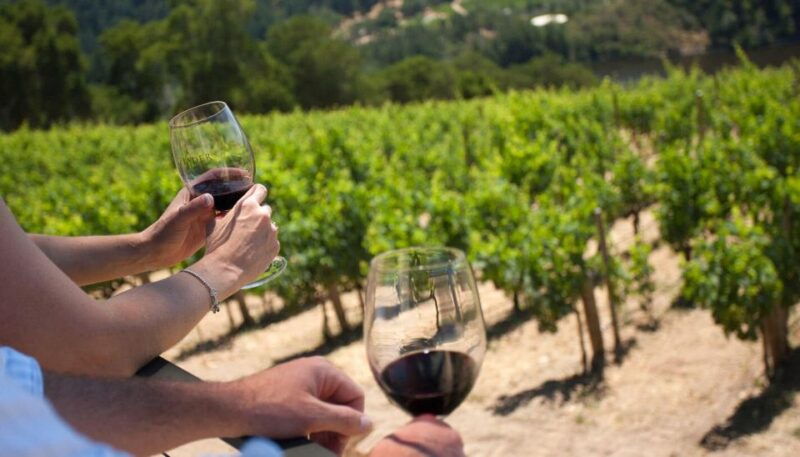 mount-vesuvius-wine-tour-with-tastings-and-lunch
