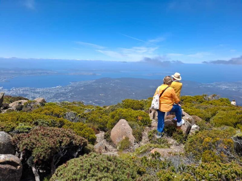 Mount Wellington Shore Excursion - Key Points