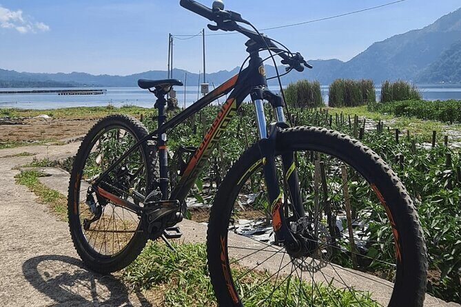 Mountain Bicycle Rental at Mount Batur - Authentic Review Insights