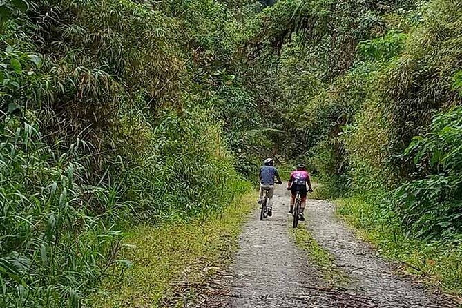 mountain-bike-quito-to-mindo-cloud-forest-full-day