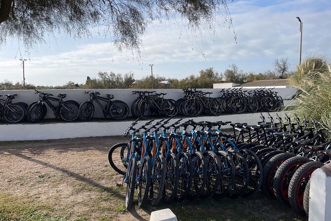 mountain-bike-rental-in-camargue