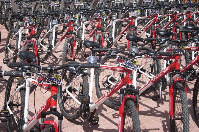 mountain-bike-rental-tenerife