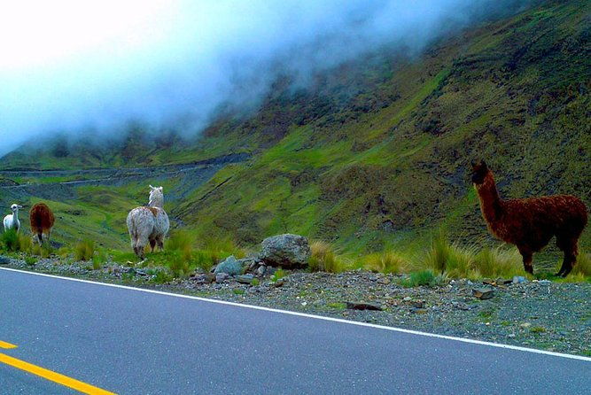 mountain-bike-ride-in-abra-malaga