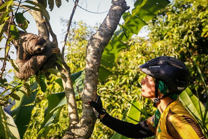 mountain-bike-tijuca-rain-forest