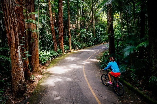 mountain-bike-tijuca-rain-forest